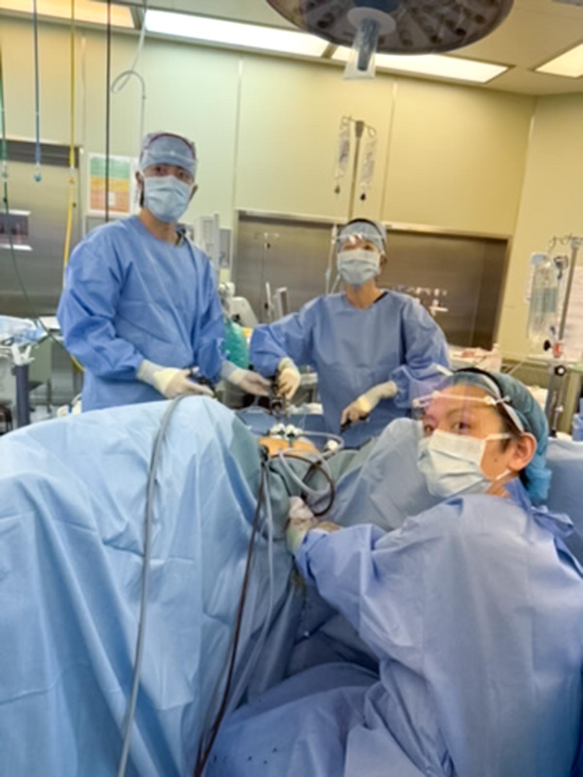 スケジュール画像を掲載します