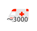 救急車搬送台数　～3000件