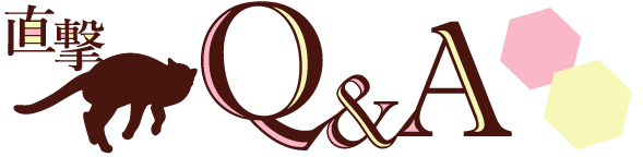 直撃! Q&A